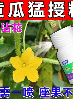黄瓜专用坐果精保花保果座果灵催花授粉增产结果多蔬菜农药叶面肥