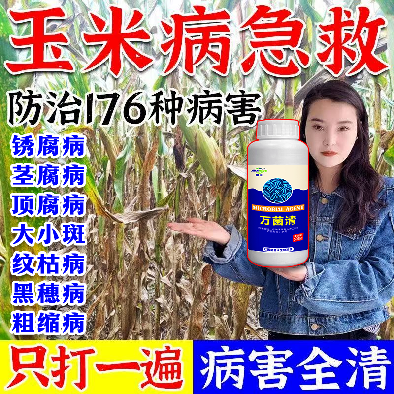 玉米病全治叶斑病黄叶枯萎烂根根腐烂杆锈病全清枯叶焦叶专用药