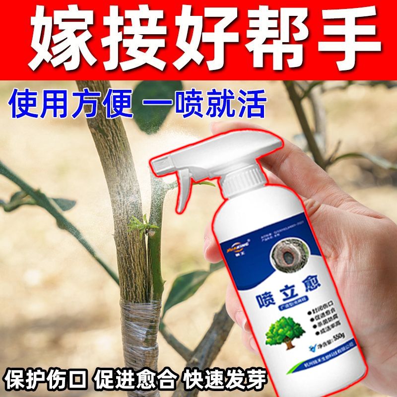 【嫁接必活】果树嫁接植物盆景花卉伤口防护愈合剂树木嫁接愈合剂
