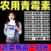 疫病霜霉病白粉稻瘟病锈病真菌细菌病毒万能杀菌剂 农用青霉素