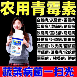 【农用青霉素】疫病霜霉病白粉稻瘟病锈病真菌细菌病毒万能杀菌剂