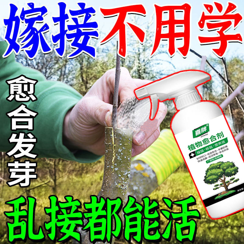 【接啥活啥】果树嫁接植物盆景花卉伤口防护愈合剂树木嫁接愈合剂