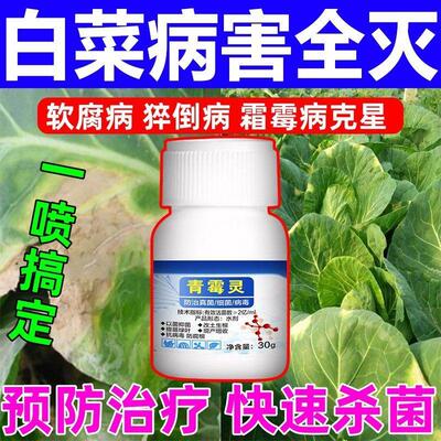 白菜专用白菜专用药杀菌剂