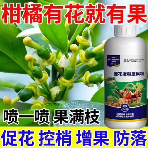 柑橘催花剂促进花芽分化柑橘座果灵柑桔强力授粉保花保果防落果素