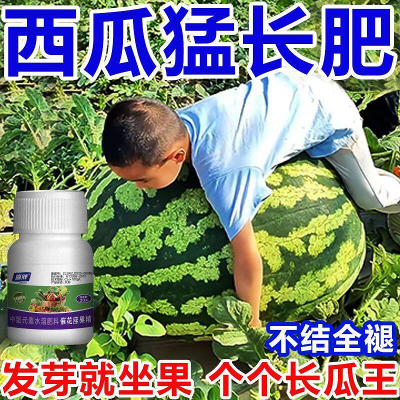 西瓜授粉专用药点花药免沾花授粉坐果精保花保果素防落防畸叶面肥