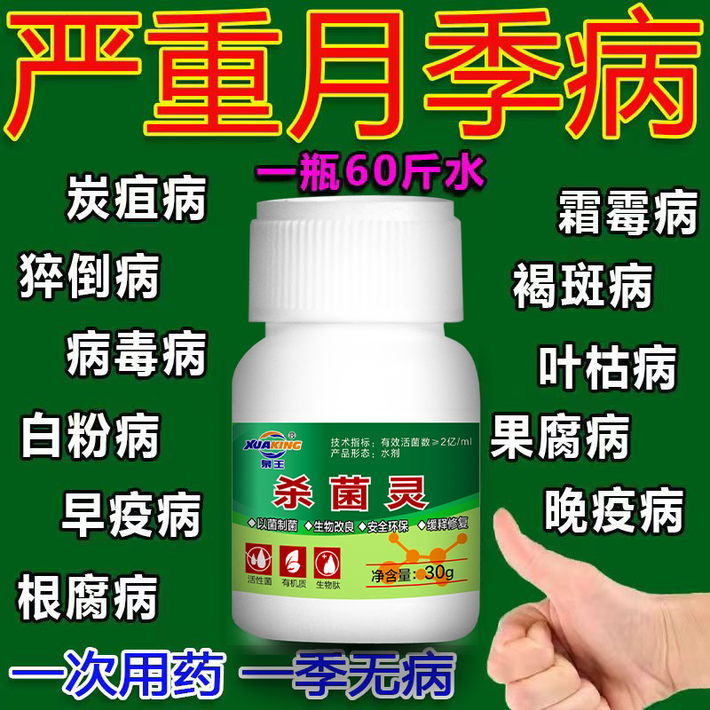 月季花病害专用月季枯枝病白粉病新芽干枯萎焉黄叶不生长抗病杀菌图片