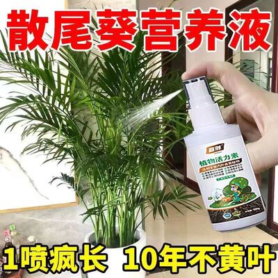 【一喷猛长】散尾葵营养液预防黄叶干尖促绿生根催发芽专用液体肥