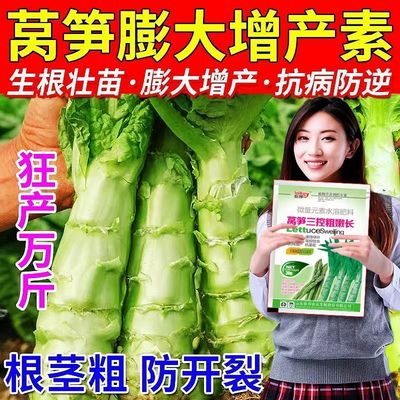 莴笋膨大素膨大剂莴笋三控膨大防裂防裂快速生长提质增产莴笋肥料