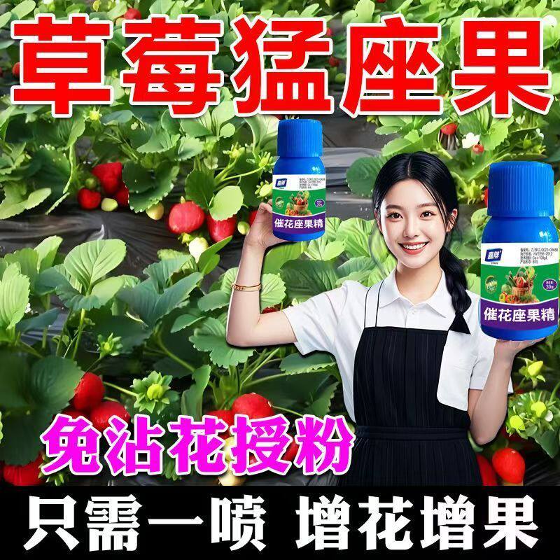 草莓授粉药开花结果肥料专用肥保花保果防落果专用药催花素坐果精