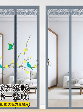 全磁条金刚网防蚊门帘2026升级款高密度纱网防蚊虫家用免打孔高档