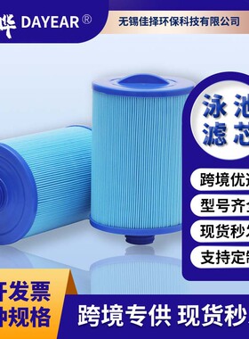 蓝色SPA浴缸儿童游泳池替代PWW50L6CH940PAS50SVFC0311泳池滤芯