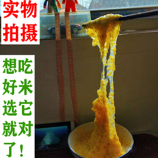 山西长治农家自种老品种新大黄米黄糯米黍米不苦不辣黄黏米粘黄米