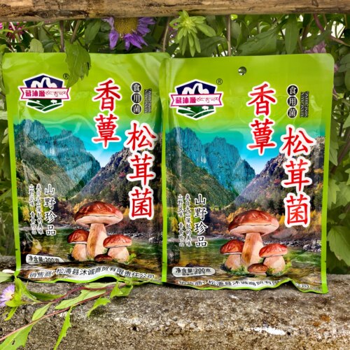 四川阿坝州九寨沟野生松茸菌