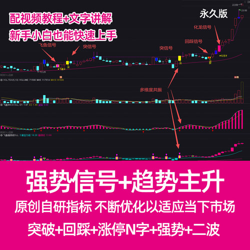 飞鱼化龙 通达信指标永久版专拍 一机一码加密版 主升浪指标