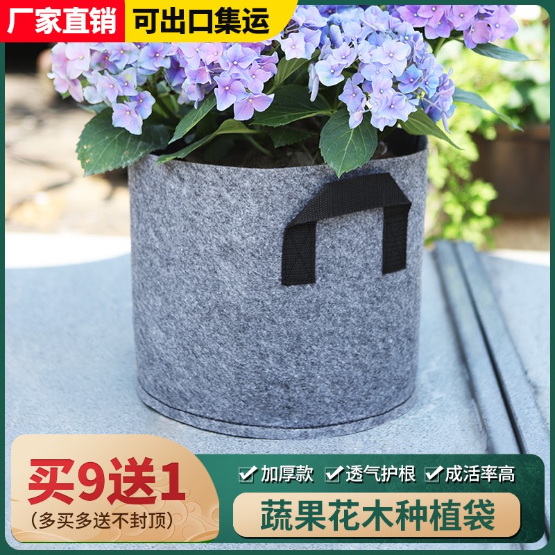 花盆塑料加仑口径青山透气月季