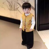 儿童锦鲤提花背心周岁礼服 夹棉国风新中式 汉服男童唐装 马甲新年款