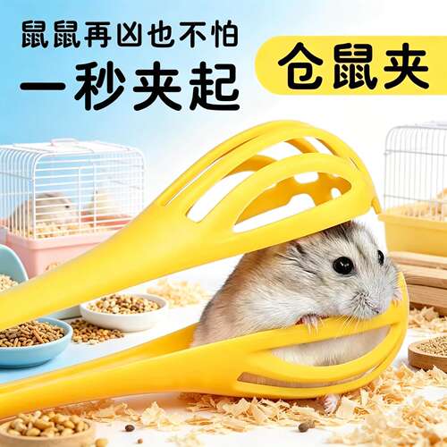 仓鼠夹捕抓老子金丝熊生