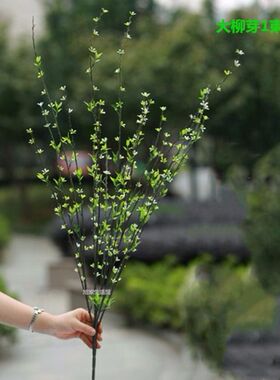 仿真塑料花清新柳芽柳枝柳条假花绢花绿向日葵插花配件装饰绿叶