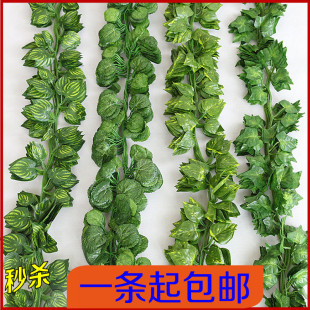 仿真藤条假树叶叶子水管道装 饰绿萝塑料藤蔓植物花藤壁挂绿叶假花