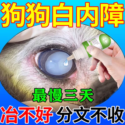 狗狗白内障专用滴眼液