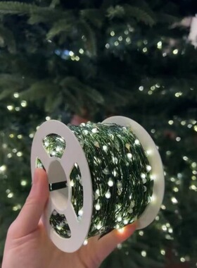 欧代圣诞树100米墨绿铜线灯串 dark green rattan lights