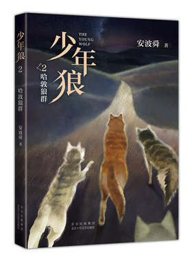 少年狼. 2 哈敦家族