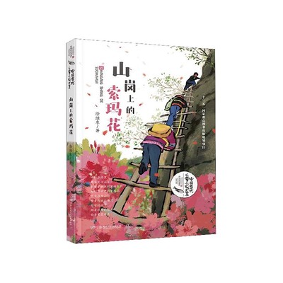 山岗上的索玛花/中国当代儿童小说大系