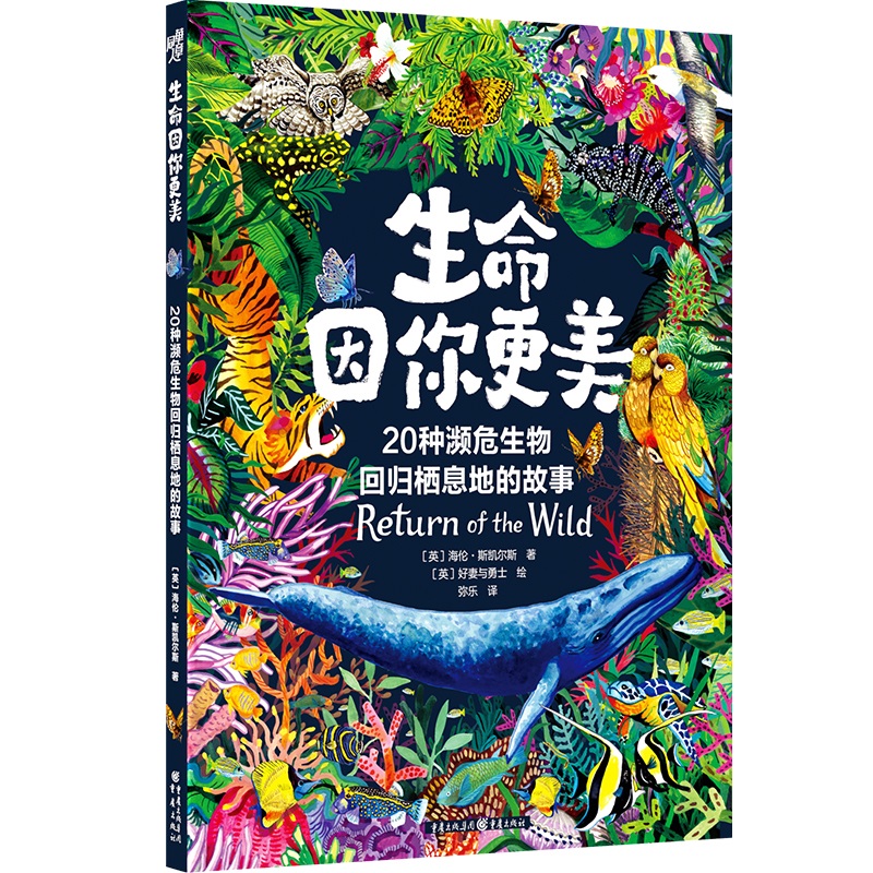 《生命因你 美》《卫报》畅销书作家×英国新锐插画师组合，