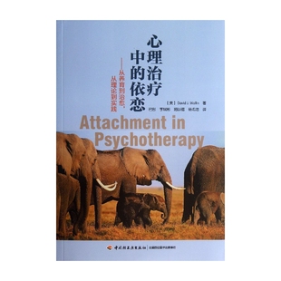 心理治疗中的依恋--从养育到治愈从理论到实践
