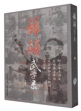 薛颠武学录