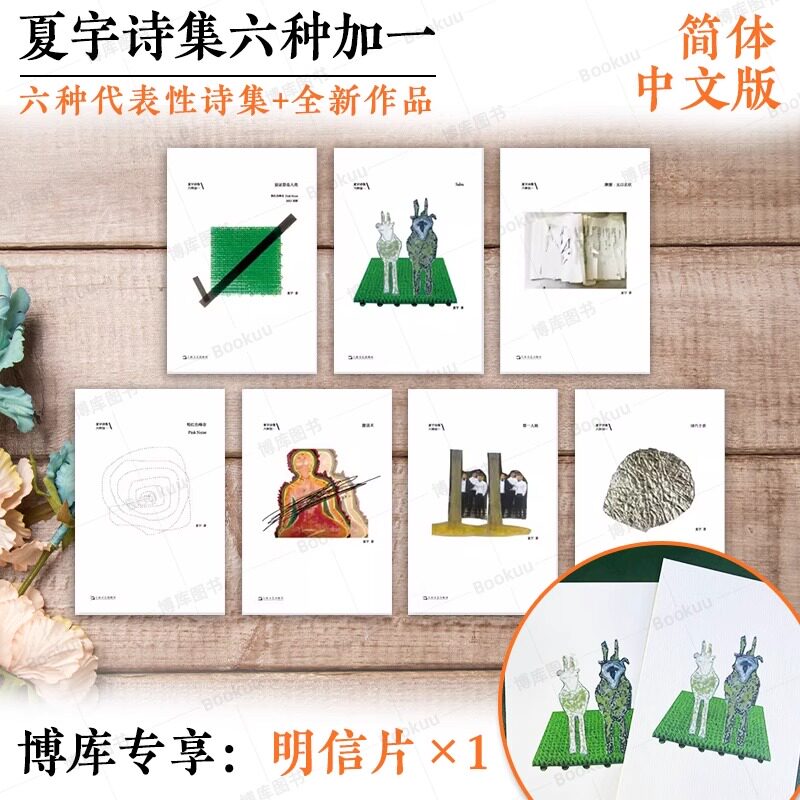 现货+赠明信片 夏宇诗集六种加一 简体中文版 收录诗人三十三年间创作的6种代表性诗集+1本从未出版过的全新作品 验证您是人类属于什么档次？
