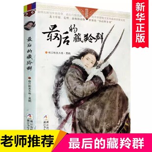 正版现货 最后的藏羚群/自然之子黑鹤精品书系珍藏版 草原荒野森林动物小说世界百科全书籍 6-7-10-12-14岁少儿童文学阅读物故事