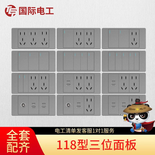 国际电工118型十五孔插座面板