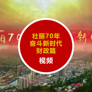音视频室内分层新款 上市模型库壮丽70年奋斗新时代·财政篇高清