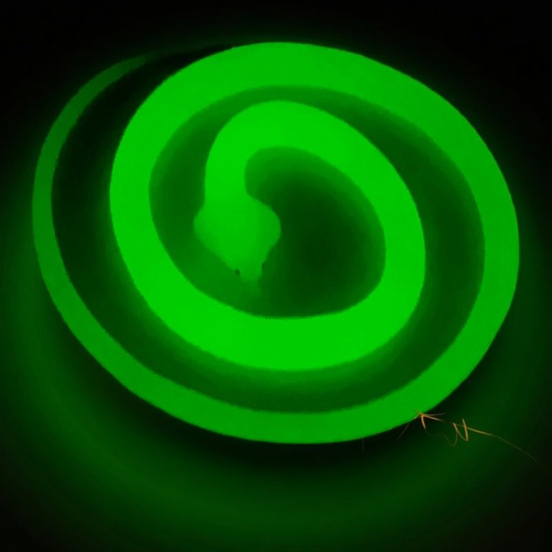 夜光仿真蛇发光荧光绿软胶蛇眼镜蛇幼儿园儿童玩具蛇吓人塑胶假蛇