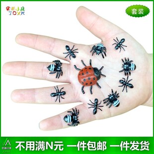 仿真瓢虫蜘蛛蚂蚁大小号微型园艺花草造景儿童玩具假昆虫动物模型