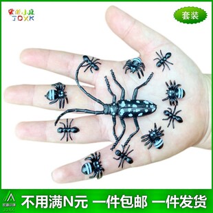 仿真天牛蜘蛛蚂蚁微型大小号幼儿园儿童认知玩具甲壳昆虫动物模型