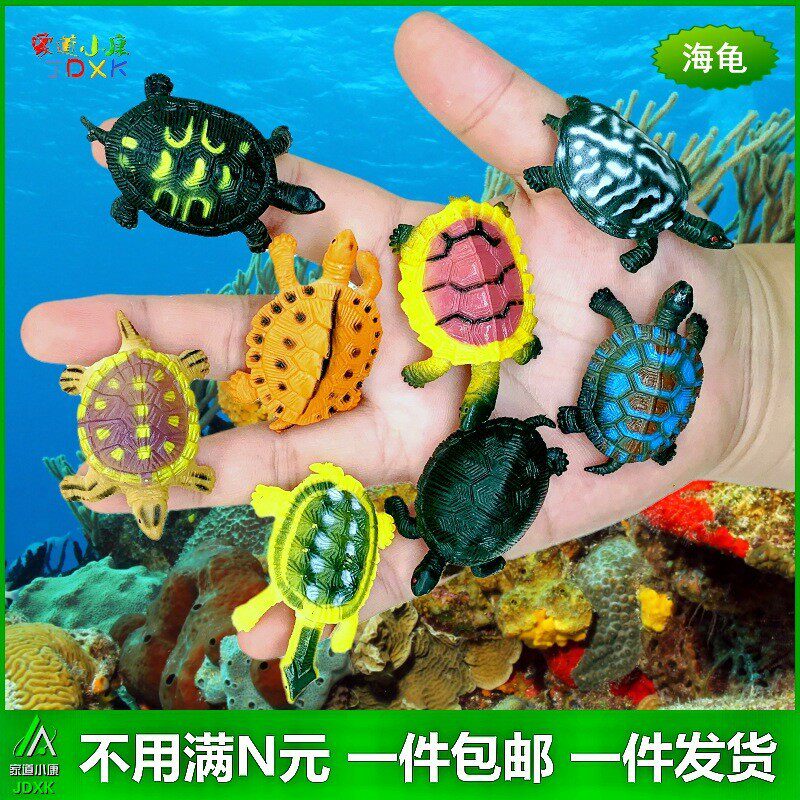 仿真超小螃蟹微型海龟假乌龟套装