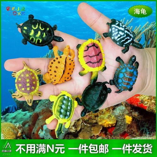 仿真超小螃蟹微型海龟假乌龟套装