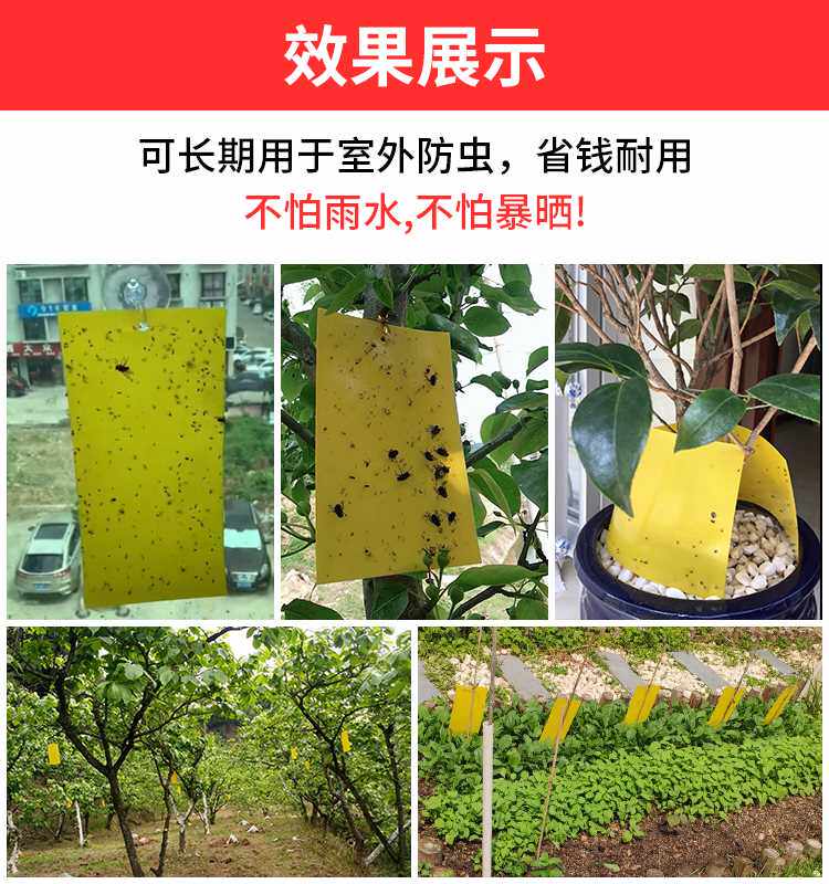苍蝇贴强力粘蝇板驱赶神器蚊子粘贴灭蝇纸灭蚊克星黄板双面粘虫板