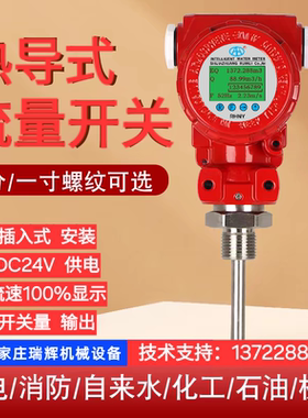 瑞辉消防流量开关 热导式铸铁法兰消防水箱流量计 水流开关NSLK-R