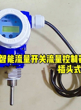 瑞辉NSLK-R碳钢消防流量开关 电子式 热导式插入式流量开关