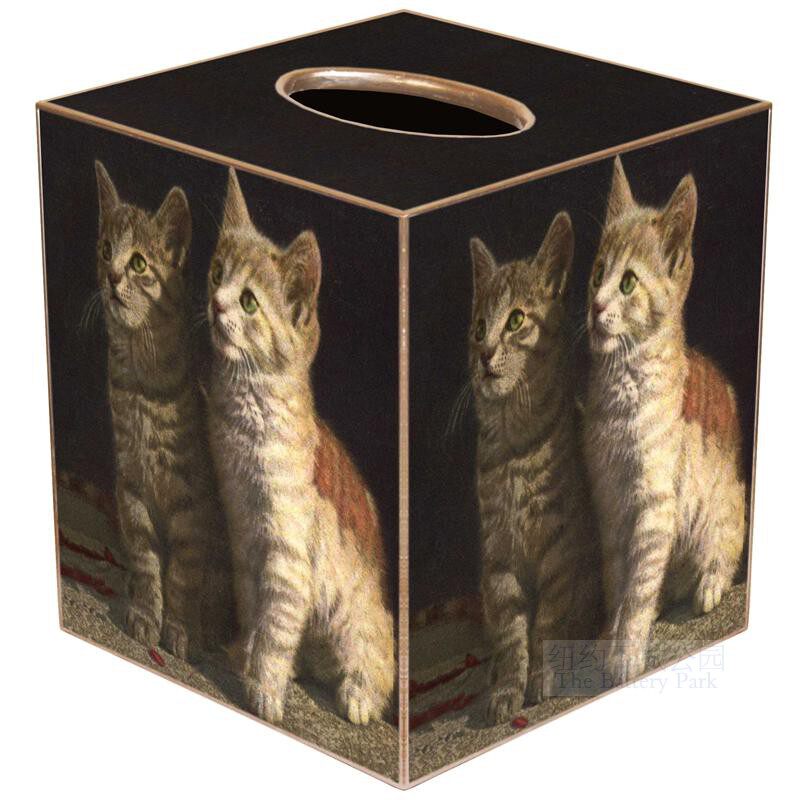 现 纽约下城公园进口油画感毛茸茸狸花猫咪木质童真方形纸巾盒