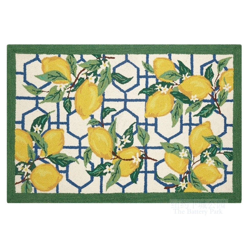 纽约下城公园进口窗前的柠檬树馥郁芬芳羊毛钩织小地垫地毯