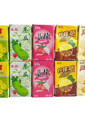 厦顺冬瓜荔枝菊花饮料250ml