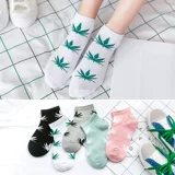 Vớ phụ nữ vớ ống vớ cotton màu đen màu rắn Hàn Quốc mùa xuân và mùa hè vớ phần mỏng giữa thắt lưng bông Hàn Quốc cao đẳng gió