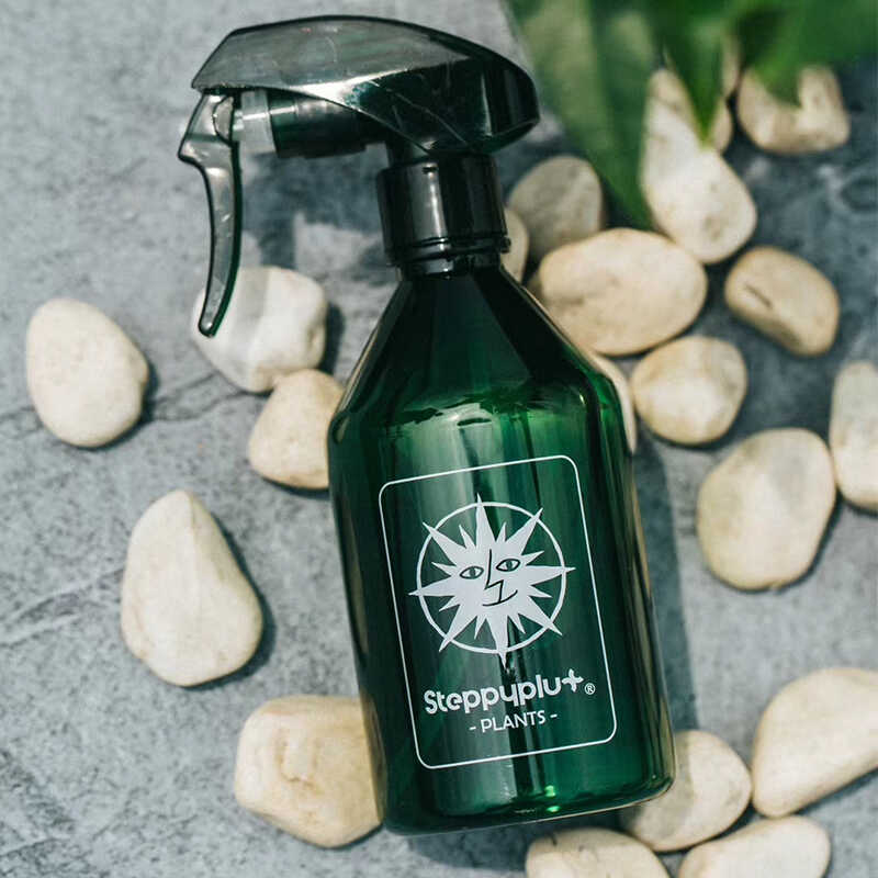 Steppyplus 个性创意设计喷壶（微瑕介意慎拍）