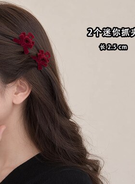 丝绒蝴蝶结小号头发抓夹女2026新款高级感前额刘海碎发侧边夹发饰