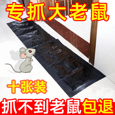 老鼠贴强力粘鼠板克星抓捉大老鼠粘鼠毯家用室内高效捕鼠灭鼠神器