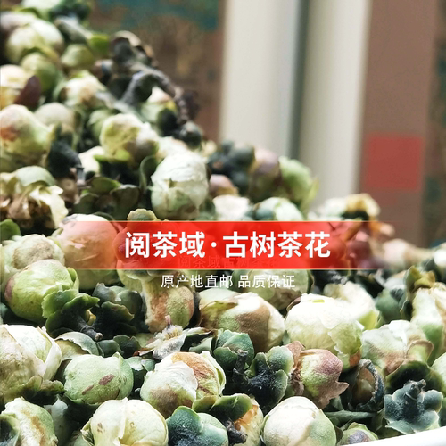 云南古树普洱茶花苞新茶精选新鲜自然晾晒花香蜜香白茶普洱生茶叶